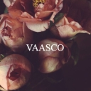 Avatar of user VAASCO is no more.
