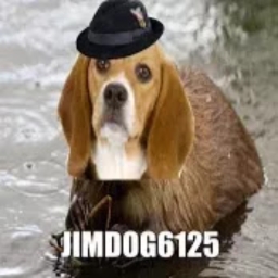 Avatar of user jimdog6125