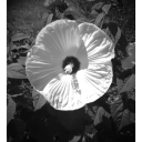 Avatar of user sheridanh