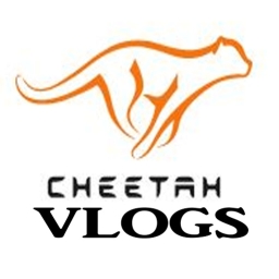 Avatar of user cheetah_vlogs