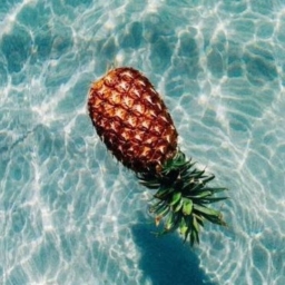 Avatar of user F2jiRGPZS