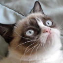 Avatar of user PixelGuy26