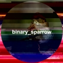 Avatar of user binary_sparrow
