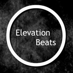 Avatar of user EleavtionBeats