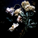 Avatar of user chrstms but its rly meur