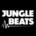 Cover of album Jungle Beatz - Single by King James