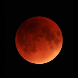 Cover of track Blood Moon by metrom