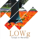 Cover of album Tulips in Hershey by LOWg