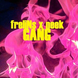 Cover of track GANG (+neek) by freliNs