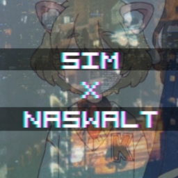 Cover of track the pieces fit by sim