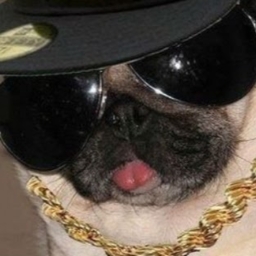 Avatar of user dankthiccboi