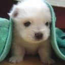 Avatar of user djoslin