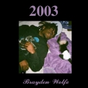 Cover of album 2003 by Brayden Wolfe