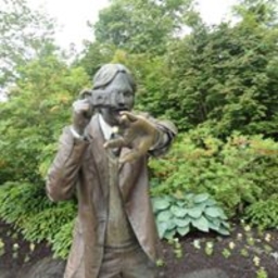 Avatar of user rose_shi