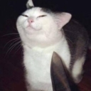 Avatar of user Jocelyn