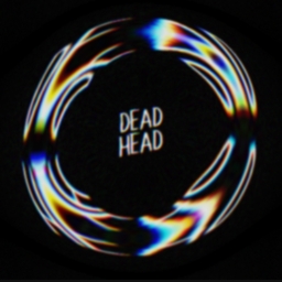 Avatar of user DeadHead