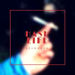 Cover of track Hash Life by DeSmoker