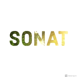 Avatar of user Sonat