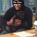 Avatar of user The Don