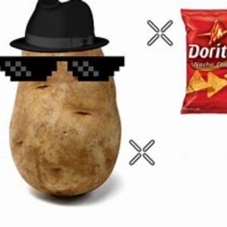 Avatar of user cato_potato