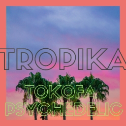 Cover of track Tropika - Tokofa x Chocolate by pc (akaash chandra)