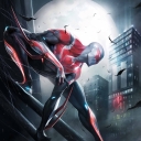 Avatar of user spidey-boi 2099