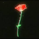 Cover of album "Red Roses" by Rozes