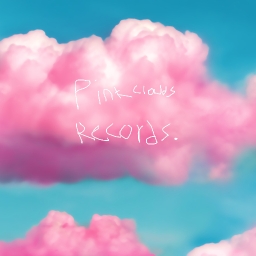 Avatar of user pink clouds records.
