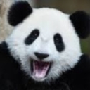 Avatar of user BluJay1223