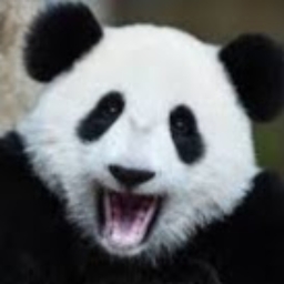 Avatar of user BluJay1223