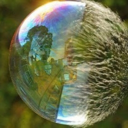 Avatar of user enkbatbil20_kla_be