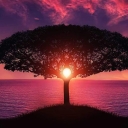 Avatar of user ardodd_smithcoedu_net