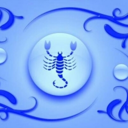 Avatar of user scorpion_music-video
