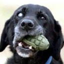 Avatar of user otis_driftwood