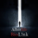 Cover of album Afterlife LP by BioL!nk