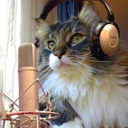 Avatar of user wahooneko