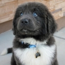 Avatar of user juna_kigan