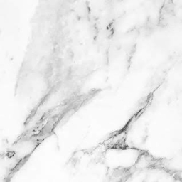 Avatar of user tatianasuarezz