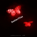Cover of album butterflies by killmari心臓