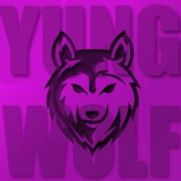 Avatar of user yung0wolf
