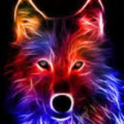 Avatar of user SilverWolves03