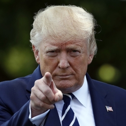 Avatar of user cadichon