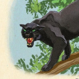 Avatar of user rdr2panther_gmail_com