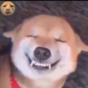 Avatar of user brayan_esneider