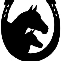 Avatar of user horseshorse42_gmail_com