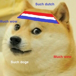 Avatar of user Dutch