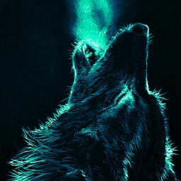 Avatar of user nightwolf_311
