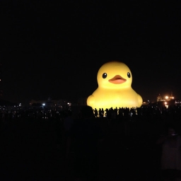 Avatar of user zolyken