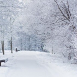 Avatar of user jonah_sturgill