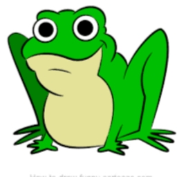 Avatar of user frog6969